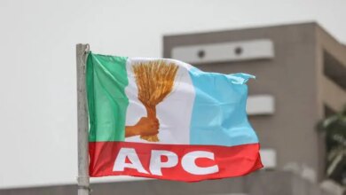 Osun 2026: APC member shot in fresh election violence