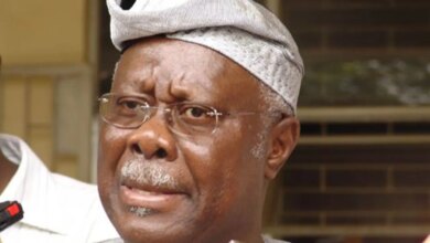 2027: ‘APC coalition of strange bedfellows’ – Bode George