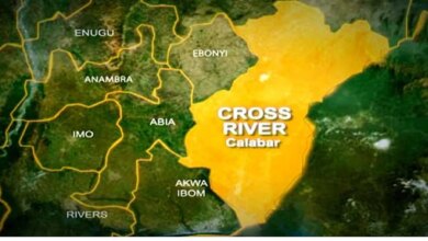 CSOs in Cross River demand review of Forestry laws 16 years after