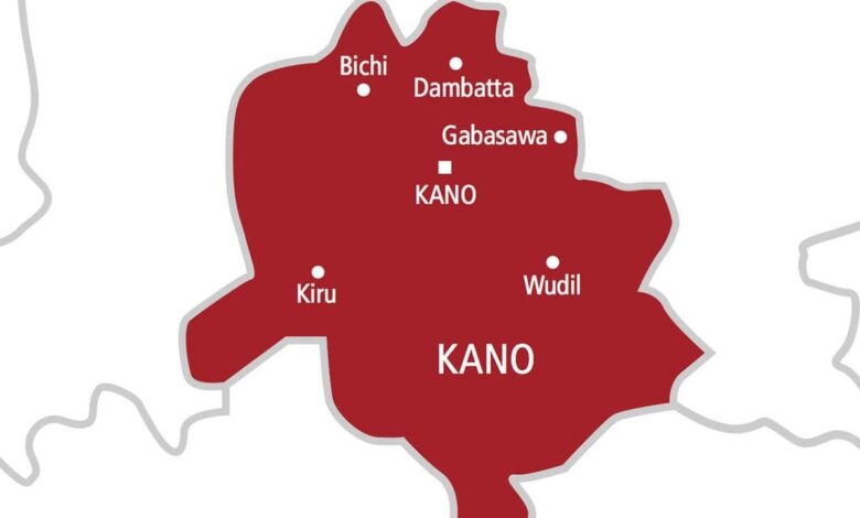 Health agency urges calm as Kano records surge in respiratory infections