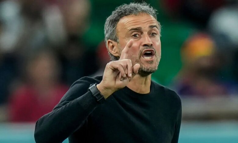 UCL: PSG manager, Luis Enrique names two incredible teams this season