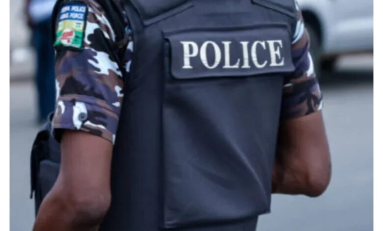 Police recover 15 cows stolen by bandits in Zamfara attack