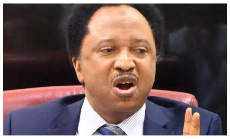 Insecurity: Shehu Sani blasts those against presence of US troops in Nigeria