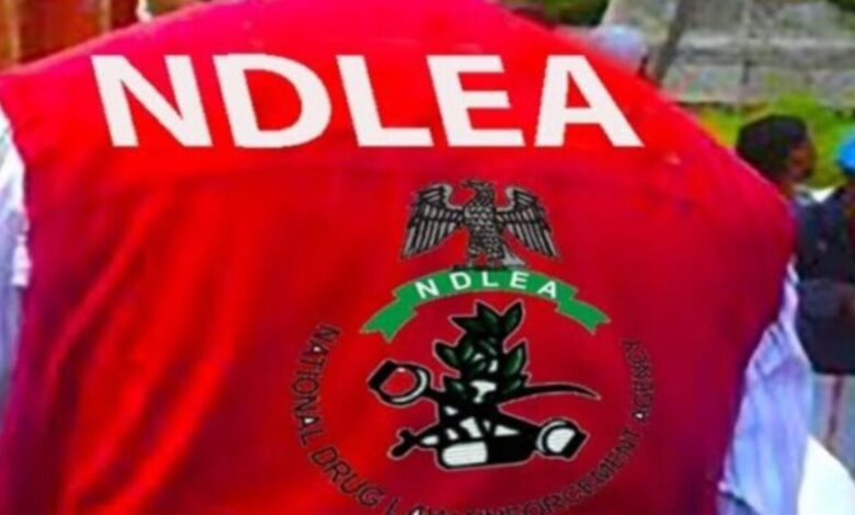 NDLEA dismantles drug syndicates exploiting women in Nigeria NDLEA dismantles drug syndicates exploiting women in Nigeria