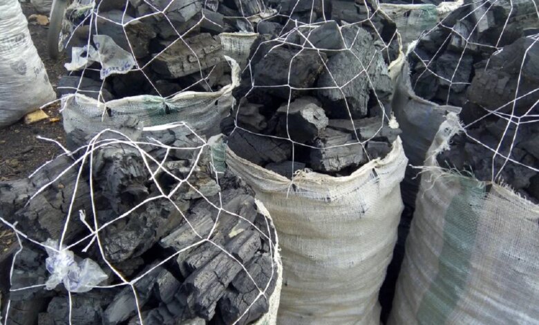 Taraba clamps down on illegal charcoal trade Taraba clamps down on illegal charcoal trade