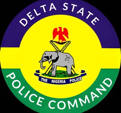 Ozoro festival: Police give update, confirms arrest of seven more suspects