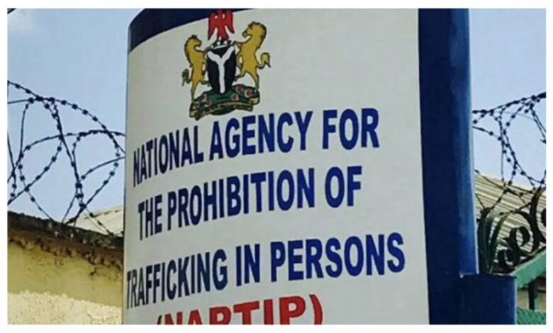 Human trafficking: We’ve received not less than 100 victims, 70 suspects – Ogun NAPTIP Human trafficking: We’ve received not less than 100 victims, 70 suspects – Ogun NAPTIP