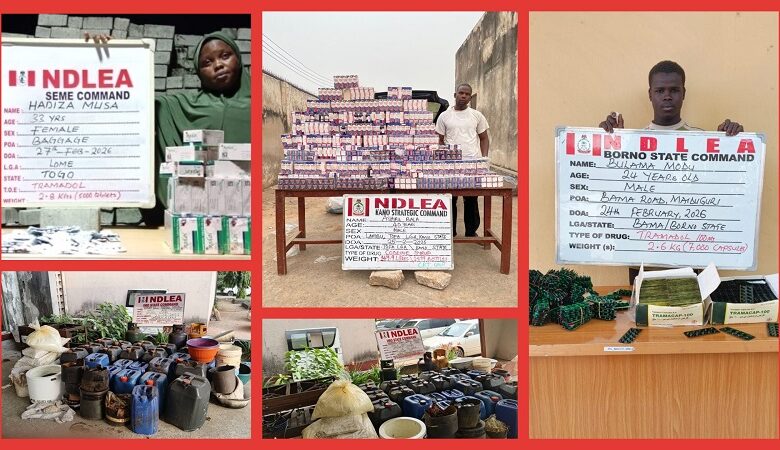 NDLEA nabs wanted drug kingpin after 13 years in hiding over cocaine, heroin shipments NDLEA nabs wanted drug kingpin after 13 years in hiding over cocaine, heroin shipments