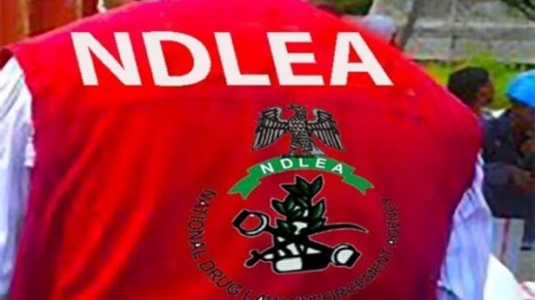Liberia Consul-General hails NDLEA – The Nation Newspaper Liberia Consul-General hails NDLEA – The Nation Newspaper