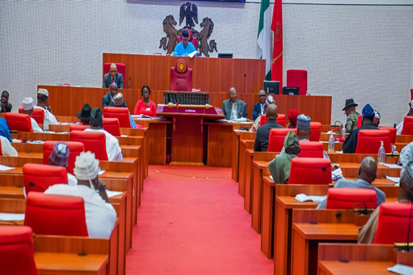 Senate grills, clears Oyedele as Finance Minister of State