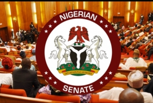 Senate backs ICPC on project monitoring, raises fresh alarm over Boko Haram attacks