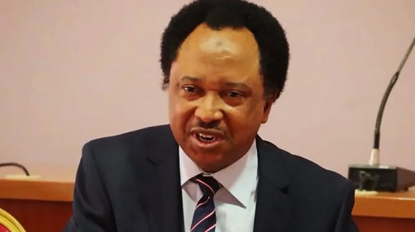 CAF decision on Senegal dangerous precedent, says Shehu Sani