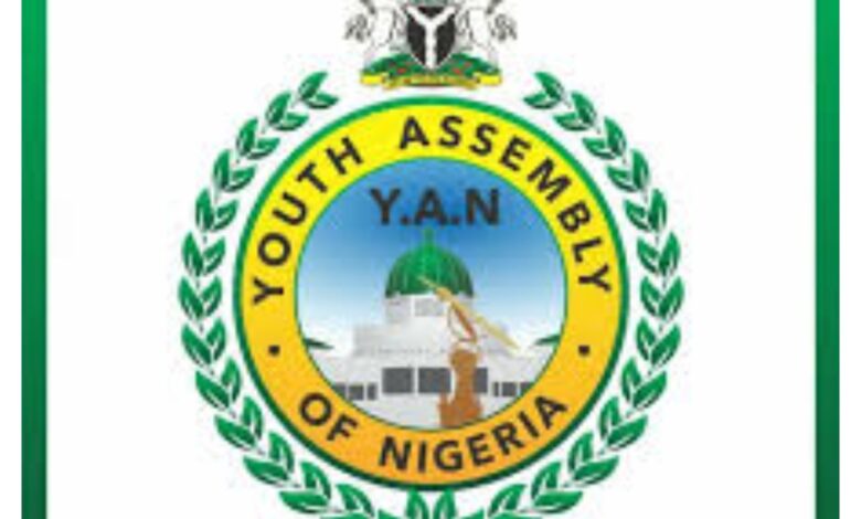 Don’t manipulate APC National Youth Leader election – YAN
