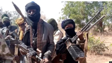 Ekiti: Kidnappers demand two virgin girls as ransom to release victim’s corpse