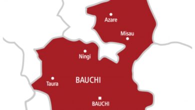 Bauchi Speaker’s convoy crashes, no life lost