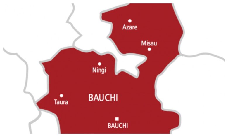 Bauchi Speaker’s convoy crashes, no life lost Bauchi Speaker’s convoy crashes, no life lost