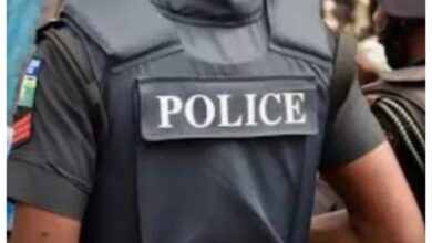 Police arrest two suspects over deaths of children in Bauchi