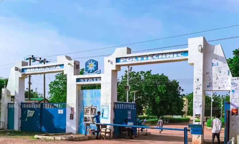 Robbers invade Adamawa Poly female hostel, cart away phones Robbers invade Adamawa Poly female hostel, cart away phones
