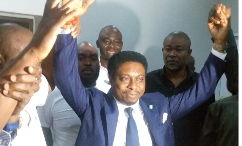 Anosike wins PDP guber ticket in Abia, says state poorly managed Anosike wins PDP guber ticket in Abia, says state poorly managed