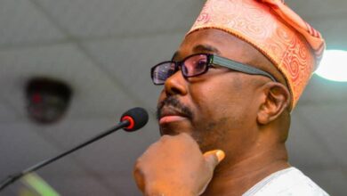 Oyo 2027: APC leaders present Alli to Tinubu 
