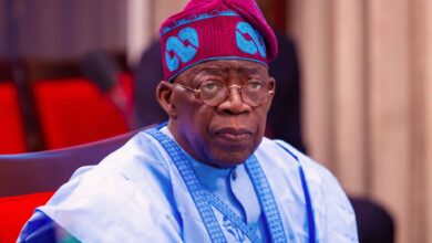 Nigeria’s N30tn livestock economy at risk- Buzaye tells Tinubu