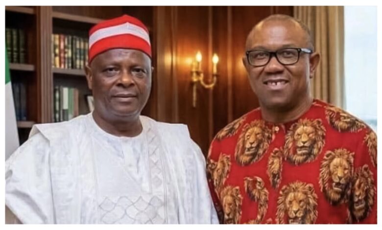 ‘Peter Obi will dribble Kwankwaso, drop him like hot potato’ – Fani-Kayode on NDC’s single term ticket