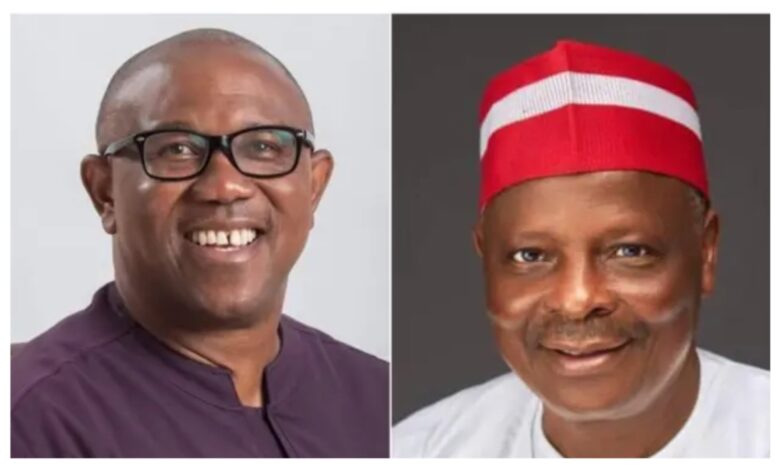 2027: We’ll have good working relationship – Kwankwaso assures Obi