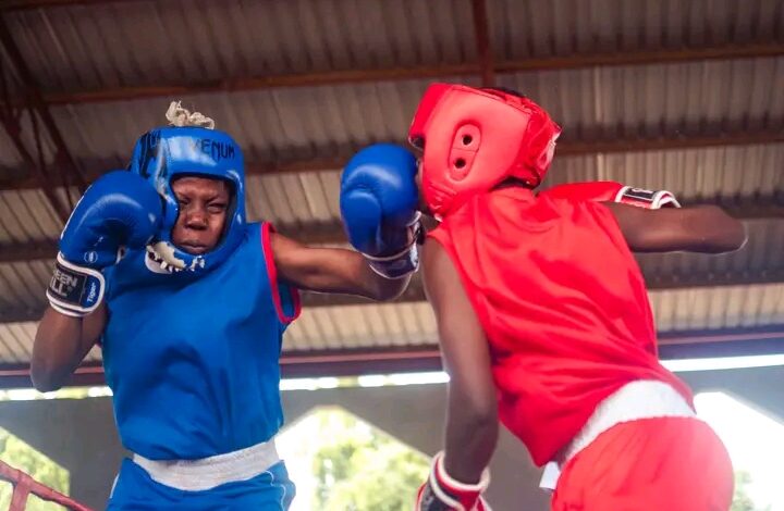 Abia emerges overall winner, as maiden South-East amateur boxing tournament ends in Umuahia Abia emerges overall winner, as maiden South-East amateur boxing tournament ends in Umuahia