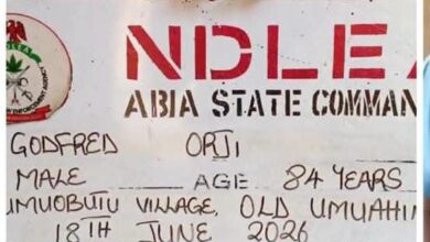 NDLEA arrests grandfathers selling drugs to teenagers in Abia