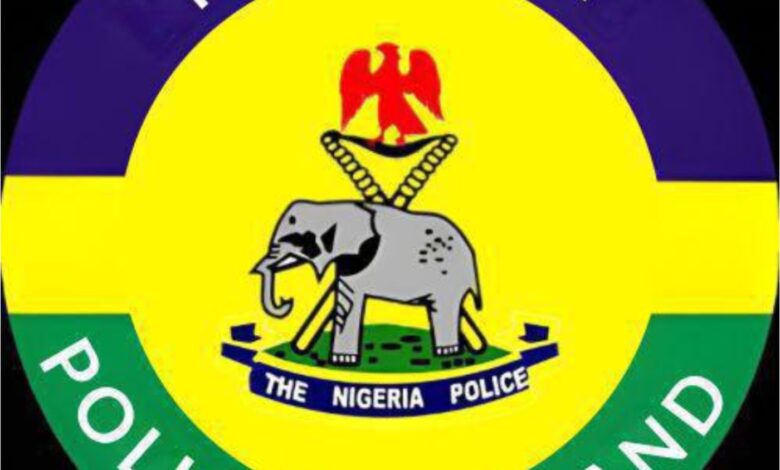 Police dismiss old video alleging bandits attack in Imo