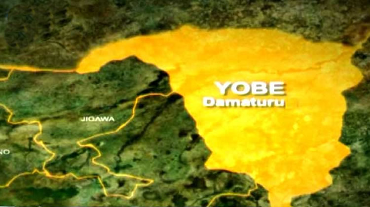 Hunters group accuses police officers of assault on member in Yobe