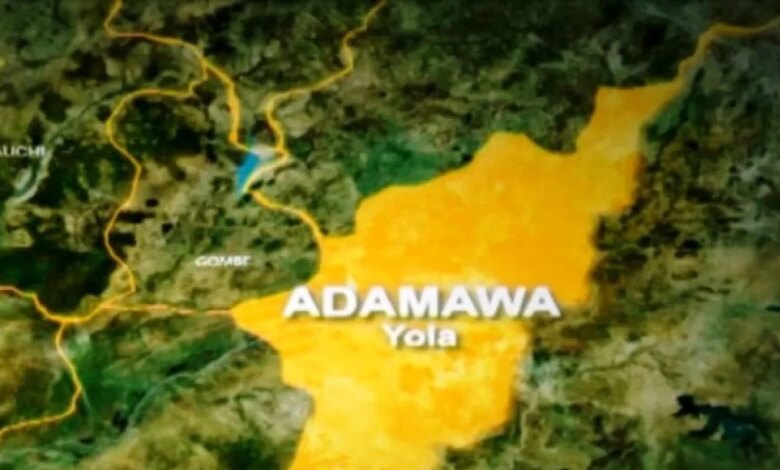 Man arrested for sexually assaulting 13-year-old housegirl in Adamawa