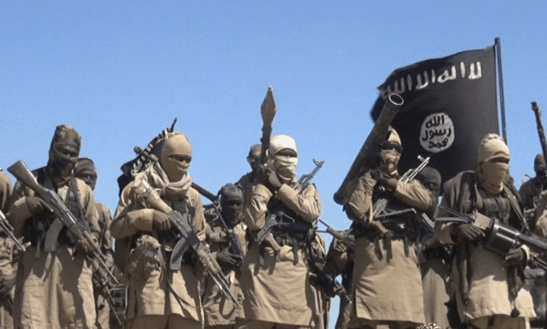Security alert as ISIS releases footage of military-grade weapons captured in Niger