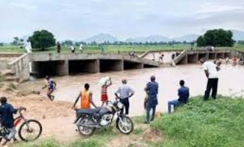 Collapsed bridge disrupts movement, economic activities in Taraba communities