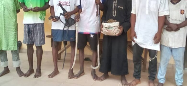 Police nab 10 suspected robbers, thugs in Minna, recover weapons Police nab 10 suspected robbers, thugs in Minna, recover weapons