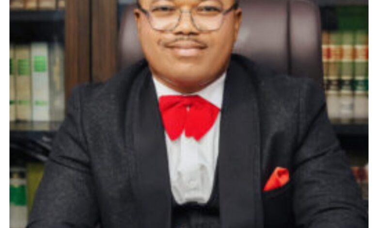 You must protect Nigerians in South Africa – Rights lawyer, Ejiofor challenges FG You must protect Nigerians in South Africa – Rights lawyer, Ejiofor challenges FG