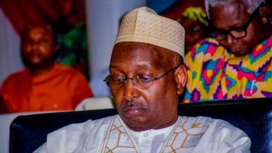 2027: Why opposition parties should unite behind single presidential candidate – Lukman