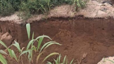 Environmental Damage: Imo community urges Uzodinma to end illegal dredging in Iriamogu