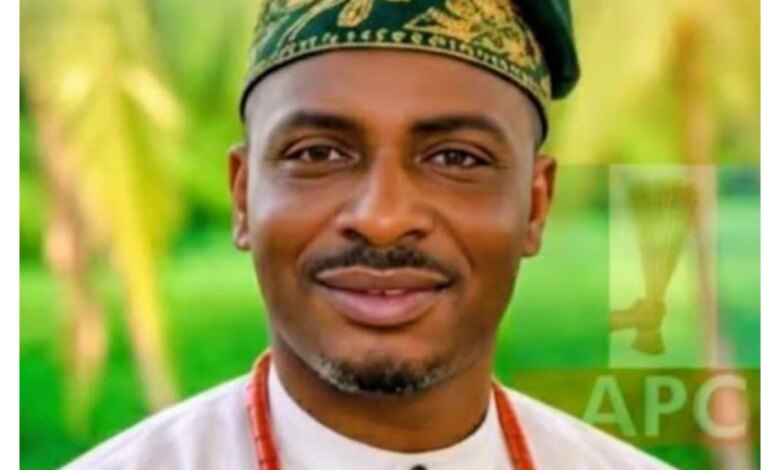 APC candidate wins Delta Udu bye-election APC candidate wins Delta Udu bye-election