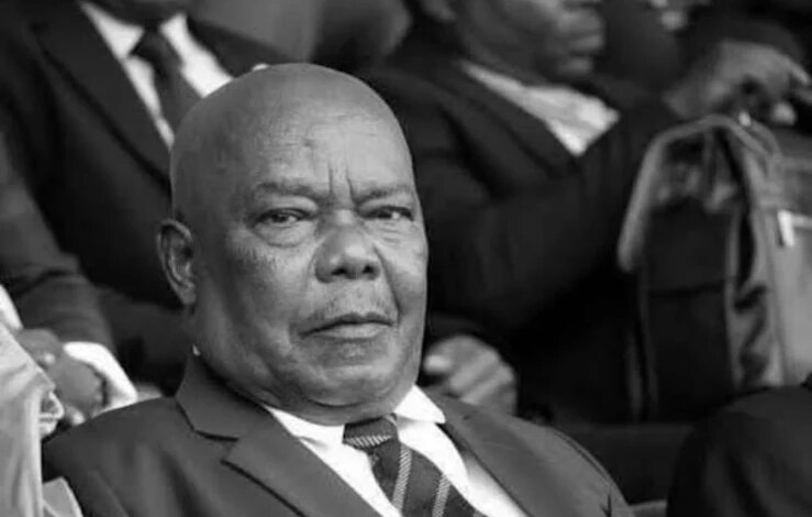 Tanzania President loses husband, Ameir Hassan
