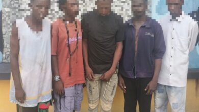 Delta Police Arrest 16 Suspects, Recover Guns, Stolen Car, Illicit Drugs Delta Police Arrest 16 Suspects, Recover Guns, Stolen Car, Illicit Drugs