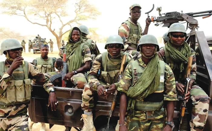 Troops recover 11 rustled cattle from suspected terrorists in Kaduna Troops recover 11 rustled cattle from suspected terrorists in Kaduna