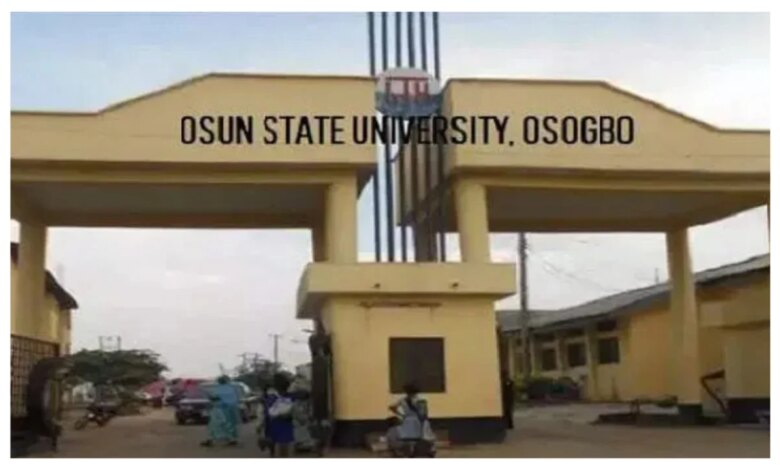 We are interested academic excellence, skills, character moulding – UNIOSUN VC 