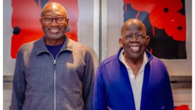 What Otedola discussed with Tinubu in Paris