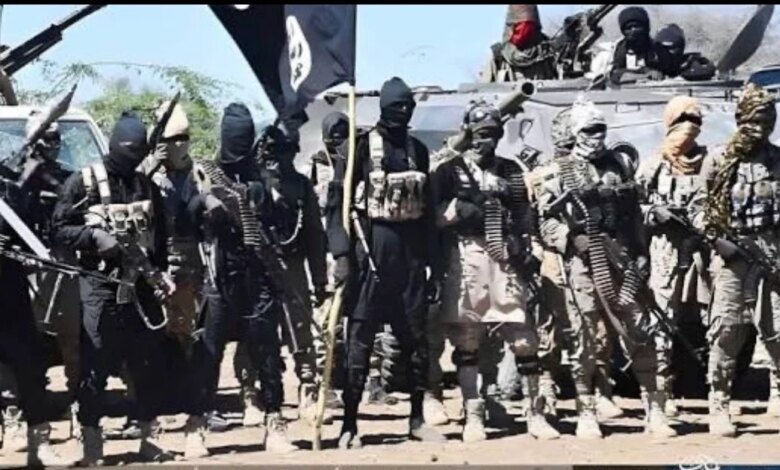 17 ISWAP-linked persons surrender to troops amid factional clashes, hardship in Borno