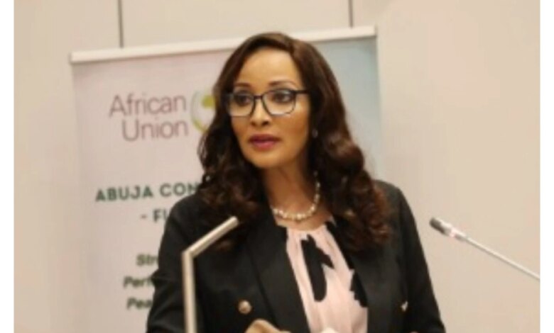 Nigeria calls for total overhaul of AU security framework to tackle terrorism Nigeria calls for total overhaul of AU security framework to tackle terrorism