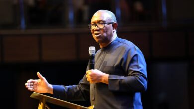 2027: Tinubu must go back home, I will not steal Nigerian money – Peter Obi