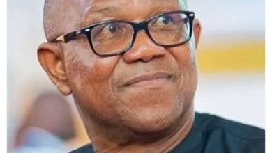 2027: Lagos APC spokesman predicts trouble for Peter Obi, Obidient Movement