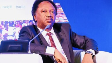 ADC supporters bitter over Obi, Kwankwaso’s ‘divorce’ — Shehu Sani