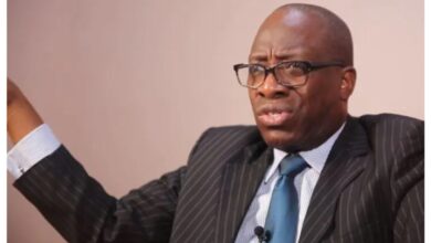 2027: Tinubu’s campaigner, Showunmi defends wife’s new INEC role